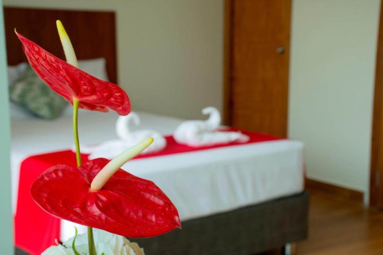 Hotel La Palmera De Oro Tarapoto Zewnętrze zdjęcie